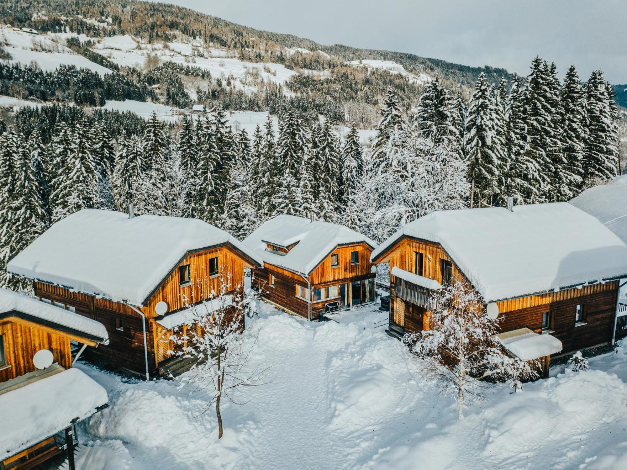 Woody Park Villa Sankt Georgen ob Murau Buitenkant foto