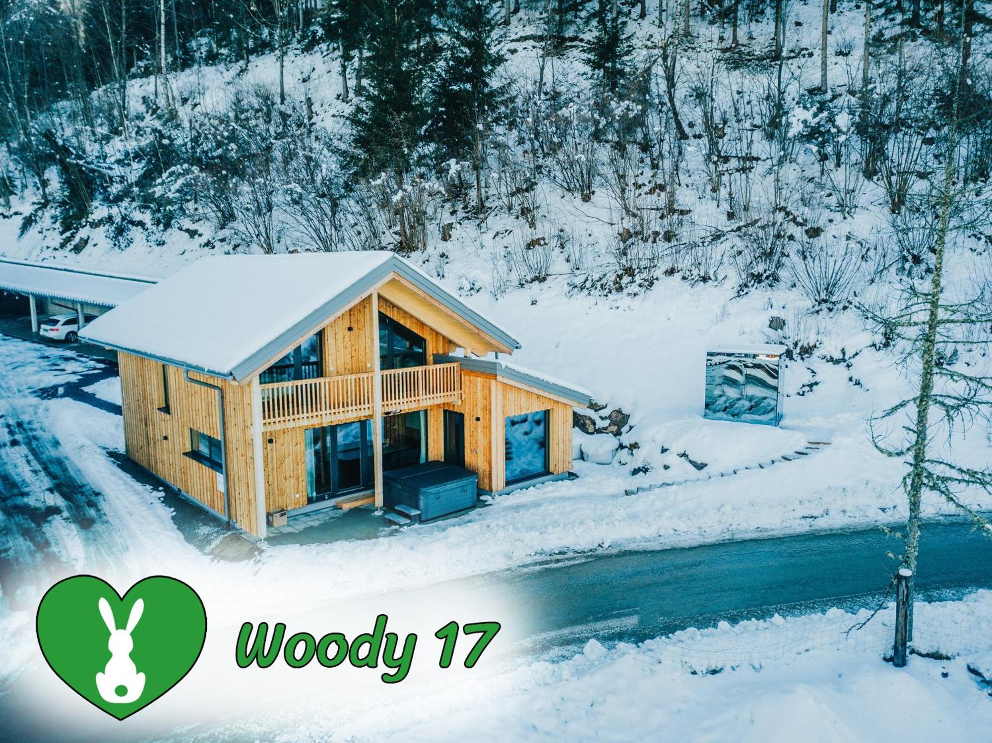 Woody Park Villa Sankt Georgen ob Murau Buitenkant foto