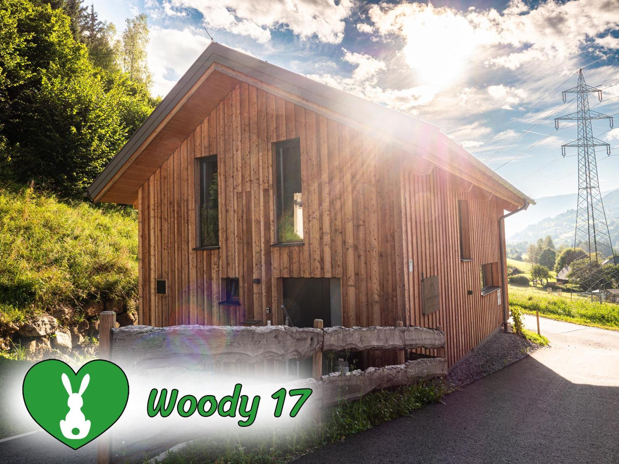 Woody Park Villa Sankt Georgen ob Murau Buitenkant foto