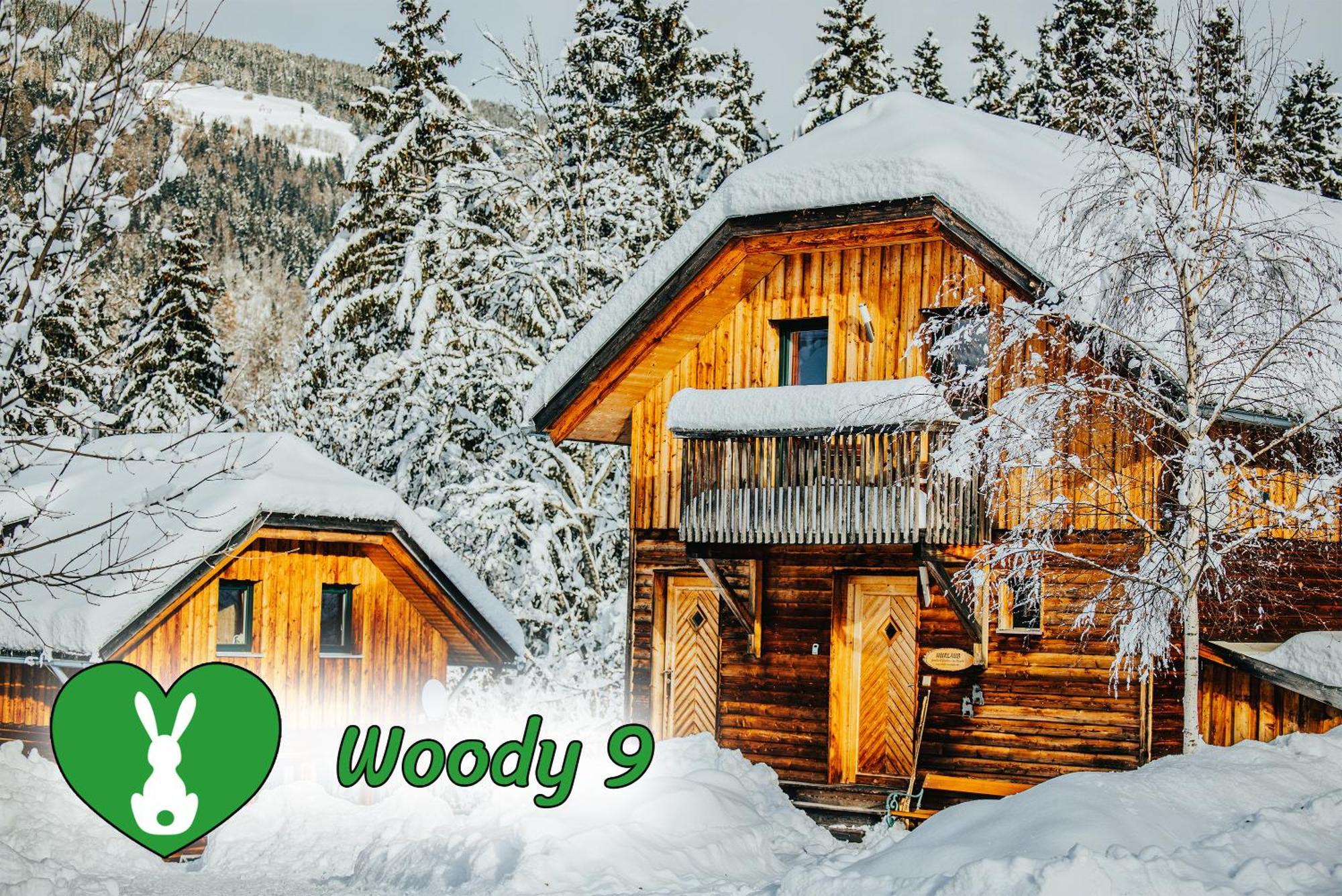 Woody Park Villa Sankt Georgen ob Murau Buitenkant foto