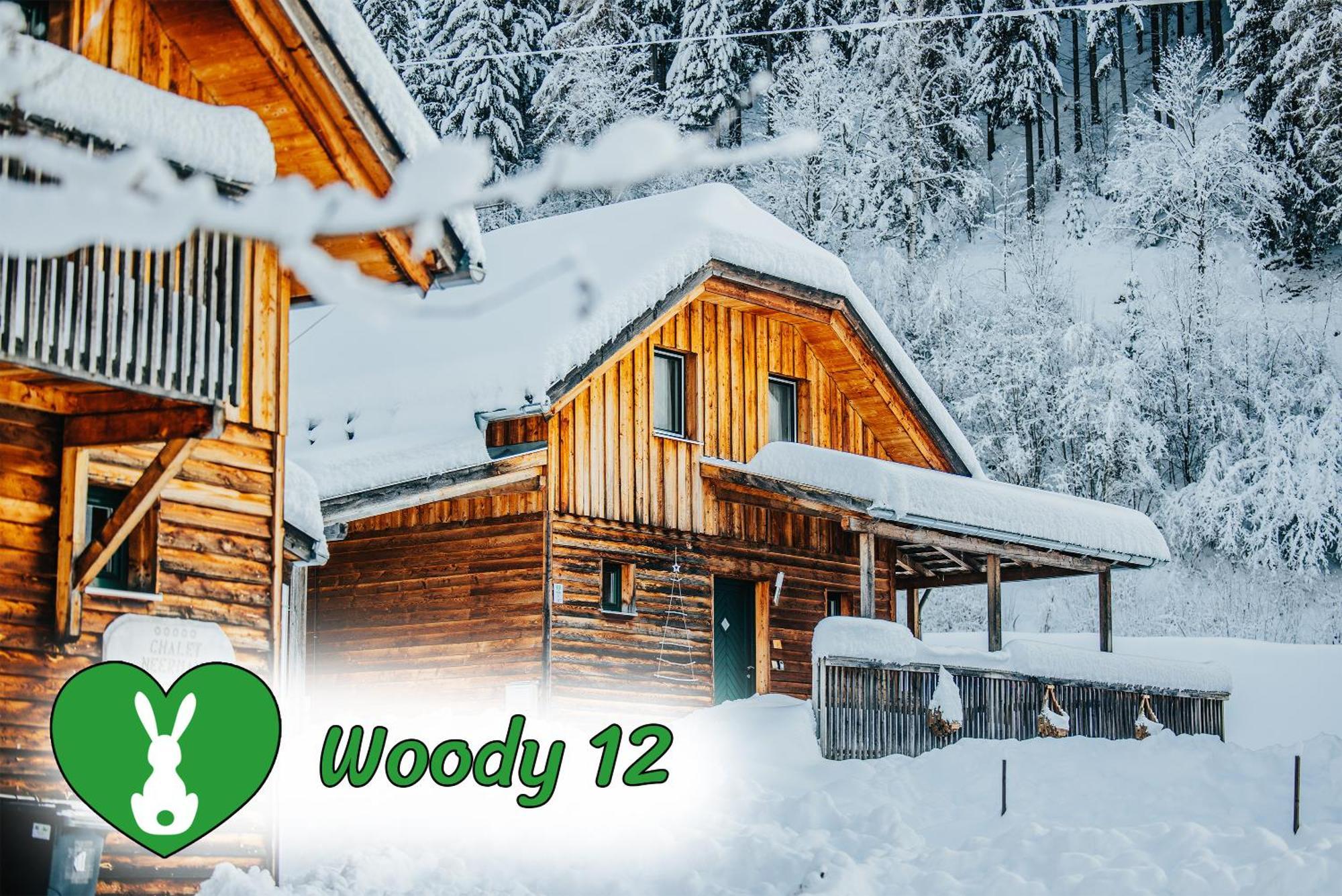 Woody Park Villa Sankt Georgen ob Murau Buitenkant foto